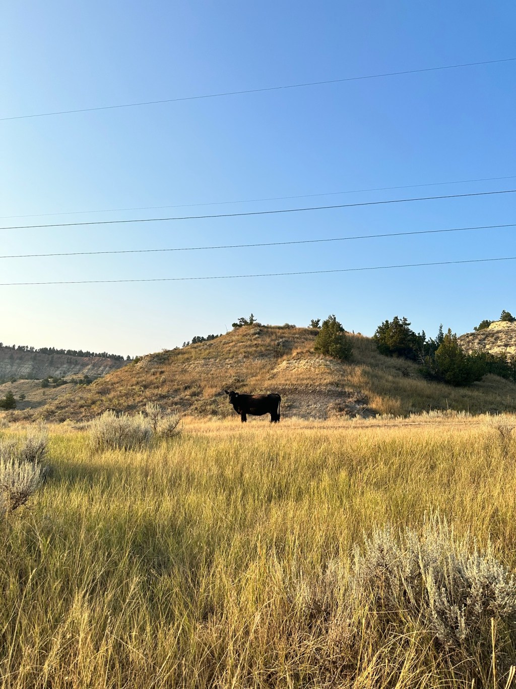 Small Towns—Small Minds