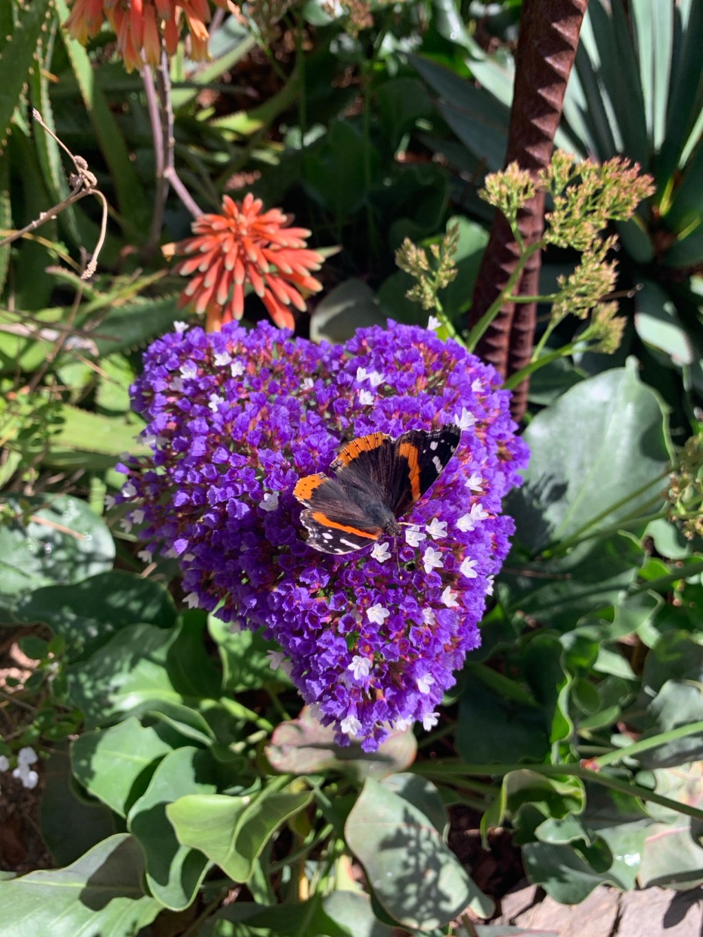 Redefining Myself After&nbsp;Loss